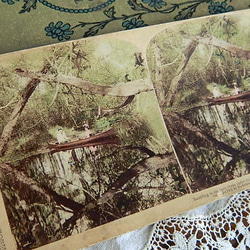 ✿1901年撮影のノスタルジックなステレオビューカード 立体写真 その他