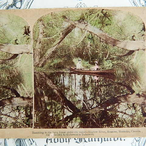 ✿1901年撮影のノスタルジックなステレオビューカード 立体写真 その他