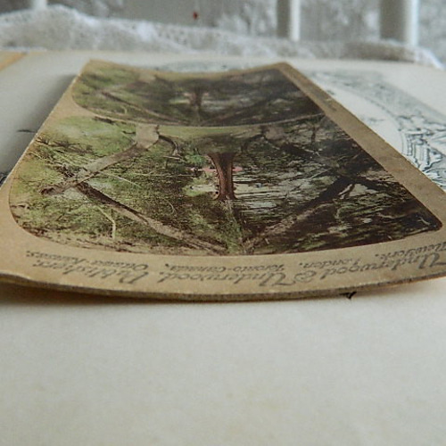 ✿1901年撮影のノスタルジックなステレオビューカード 立体写真 その他