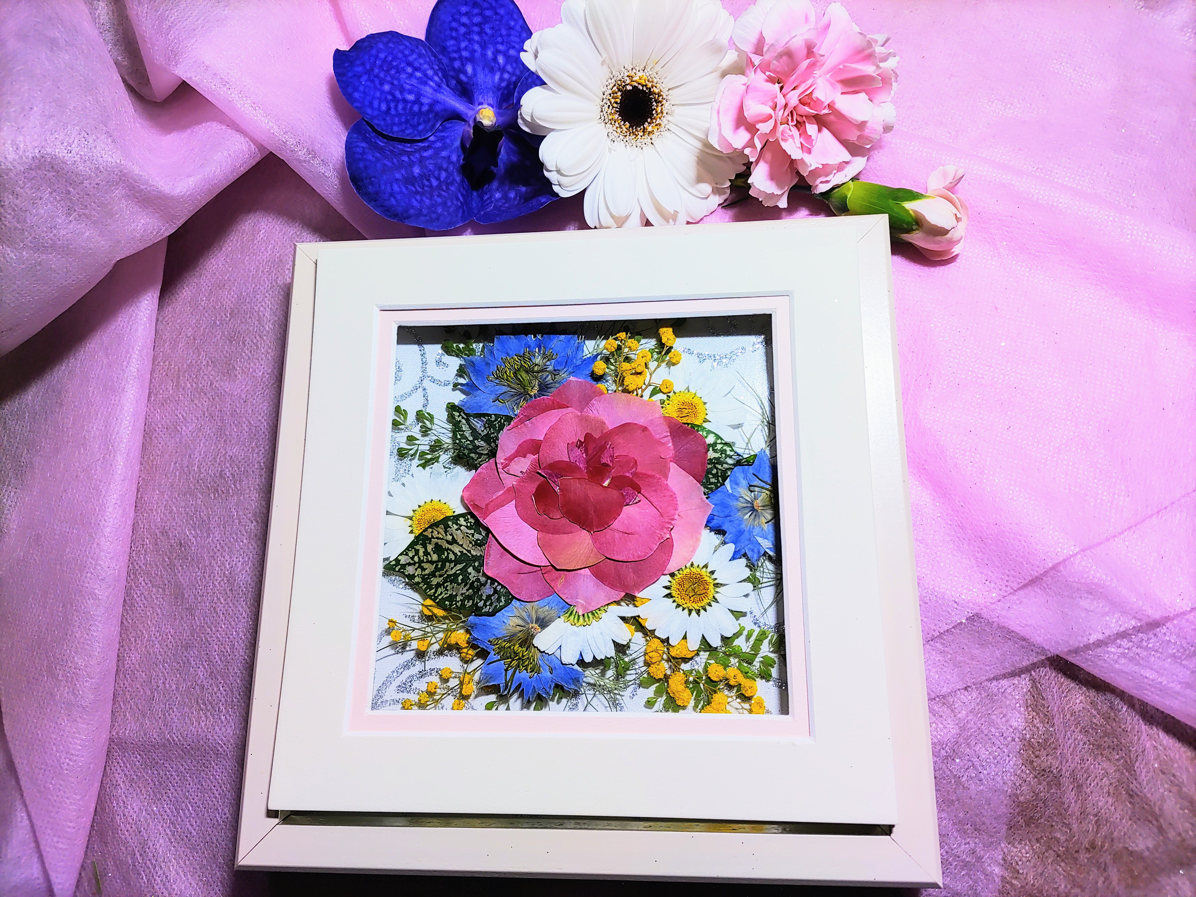 Joanna Sheen 押し花アート 英国製 額縁付 Joanna Sheen 押し花アート