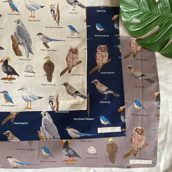 225A サメ図鑑 アイボリ ランチョンマット 1枚 40×50 小学校 給食 225A