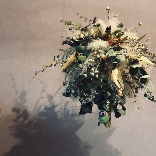 ポイント2倍 スモークツリー もふもふ フライングリース ② L φ30cm