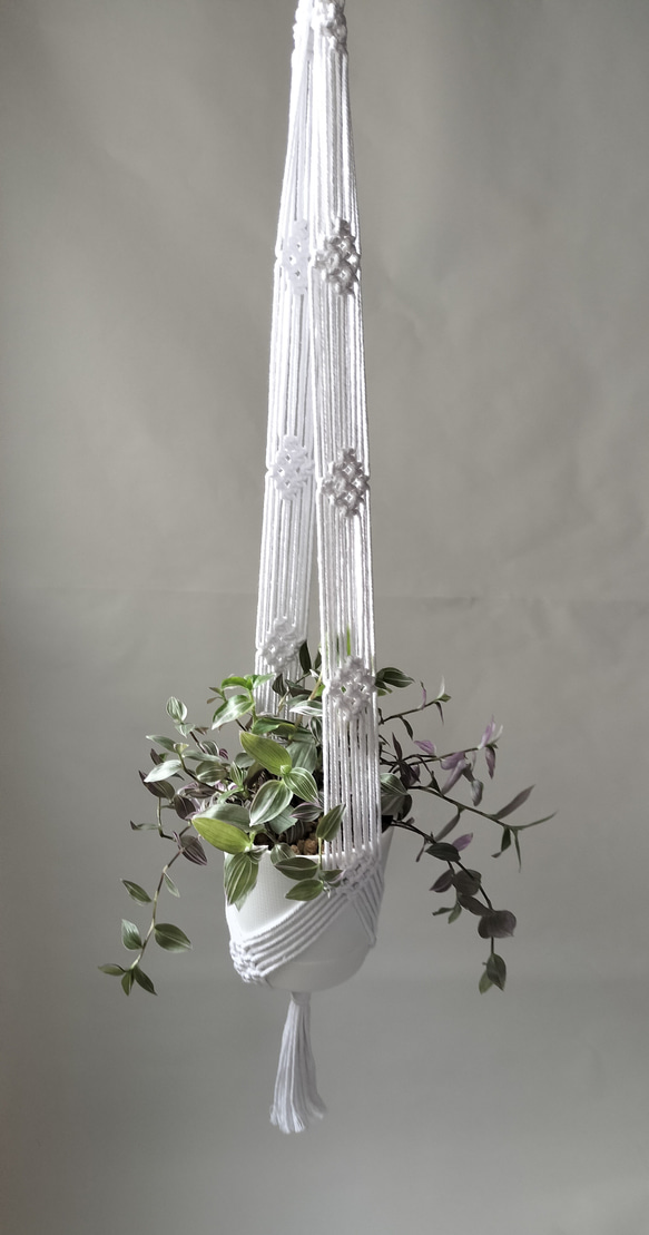 プラントハンガー　マクラメ　マクラメ編み　ホワイト　観葉植物　ハンギング　吊り下げ植物　オルレアホワイトレース 2枚目の画像