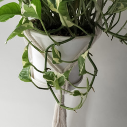 プラントハンガー　マクラメ　マクラメ編み　オフホワイト　観葉植物　ハンギング　吊り下げ植物 3枚目の画像