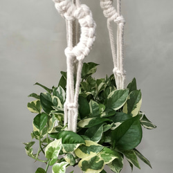 プラントハンガー　マクラメ　マクラメ編み　オフホワイト　観葉植物　ハンギング　吊り下げ植物 4枚目の画像