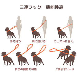 犬用リード　北欧おしゃれ　グラデーション　ショルダーリード　高品質 7枚目の画像