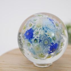 《新作》"再販"『flower garden blue ミニマーブル-ガラス台座付』ガラス ガラスの花 母の日　　 9枚目の画像