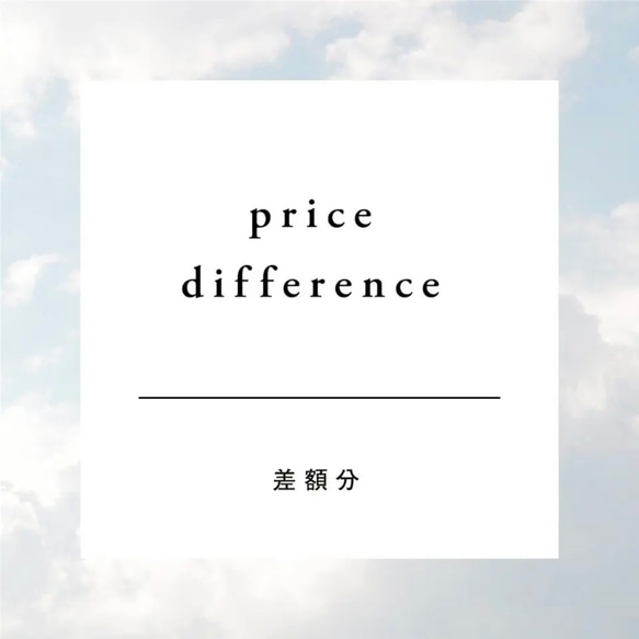 差額分ご精算用 1枚目の画像