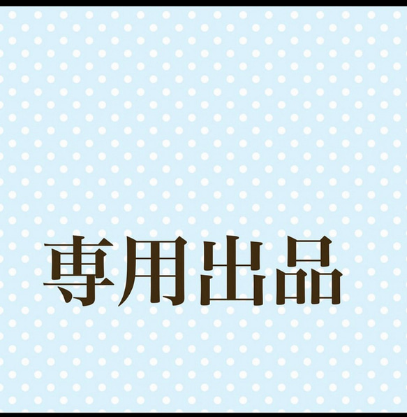 エルマーナ カーネ 様 専用ページ 1枚目の画像