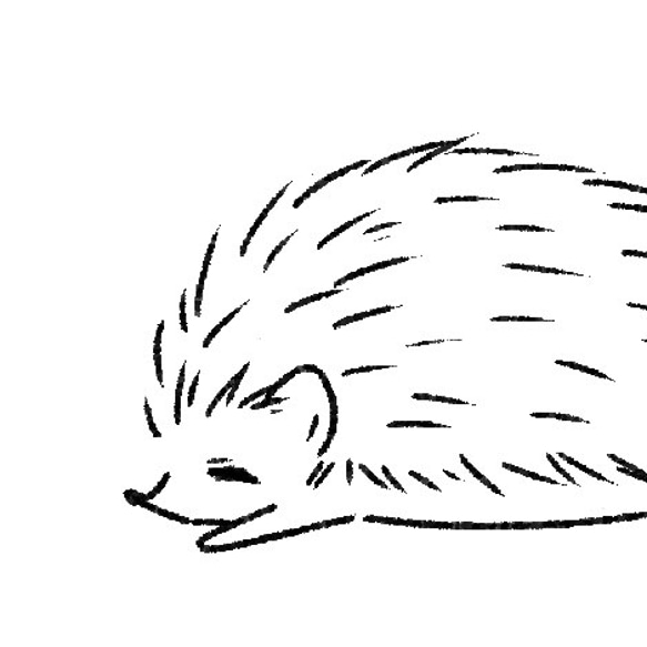 ５色から選べる♪はりねずみTシャツ 人気・おすすめ｜使いやすい・旅行におすすめ 品質保証 全国発送 正規品・日本国内発送・安心保証付き