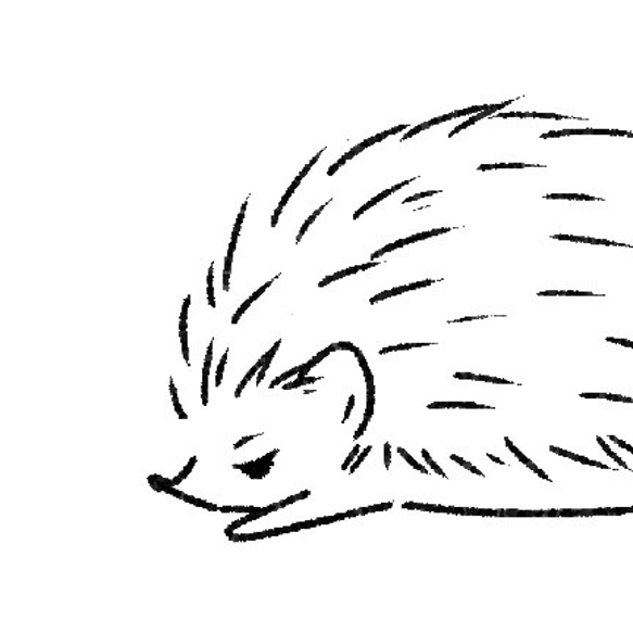 ５色から選べる♪はりねずみTシャツ 人気・おすすめ｜使いやすい・旅行におすすめ 品質保証 全国発送 正規品・日本国内発送・安心保証付き