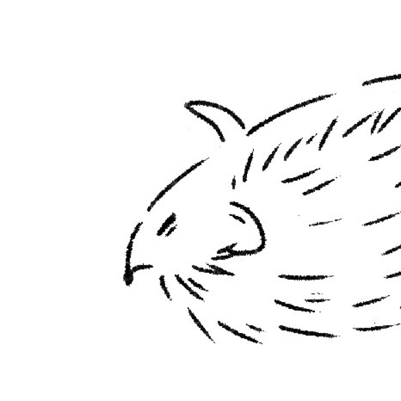 ５色から選べる♪はりねずみTシャツ 人気・おすすめ｜使いやすい・旅行におすすめ 品質保証 全国発送 正規品・日本国内発送・安心保証付き