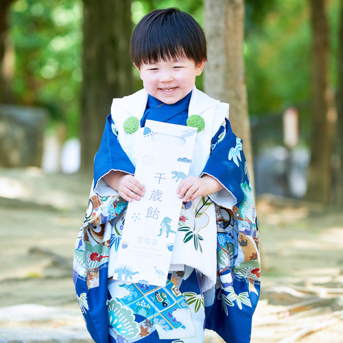 七五三】恐竜の千歳飴袋 753 雑貨・その他 kids-atelier23 通販