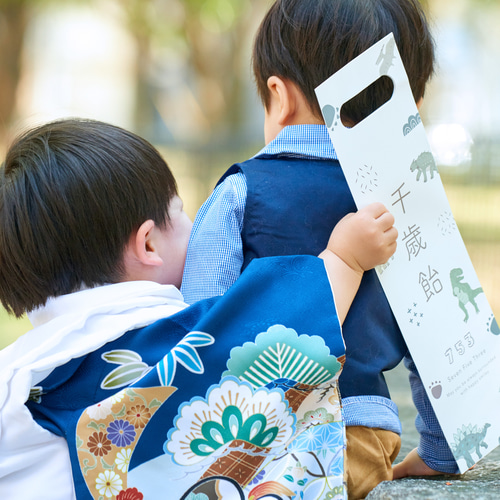 亮さま　専用商品 七五三】和柄の千歳飴袋 753 雑貨・その他 kids-atelier23 通販