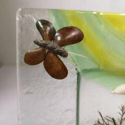 ［海天一線］貝殼藝術品 手作禮品 裝飾畫框 擺飾 立體畫框 居家佈置 貝殼裝飾畫 第4張的照片