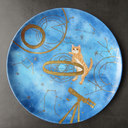 天文学者の猫 プレート　手描きの器 1枚目の画像