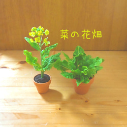 母の日  菜の花のおひたしセット 樹脂粘土アート 2枚目の画像