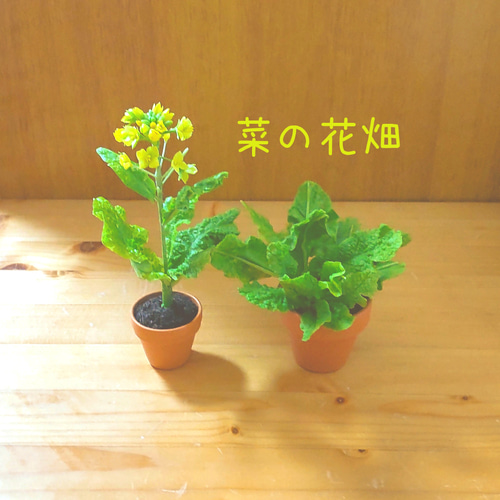 菜の花のおひたしセット 樹脂粘土アート アートフラワー myo-hoo 菜の花のおひたしセット 樹脂粘土アート アートフラワー myo-hoo