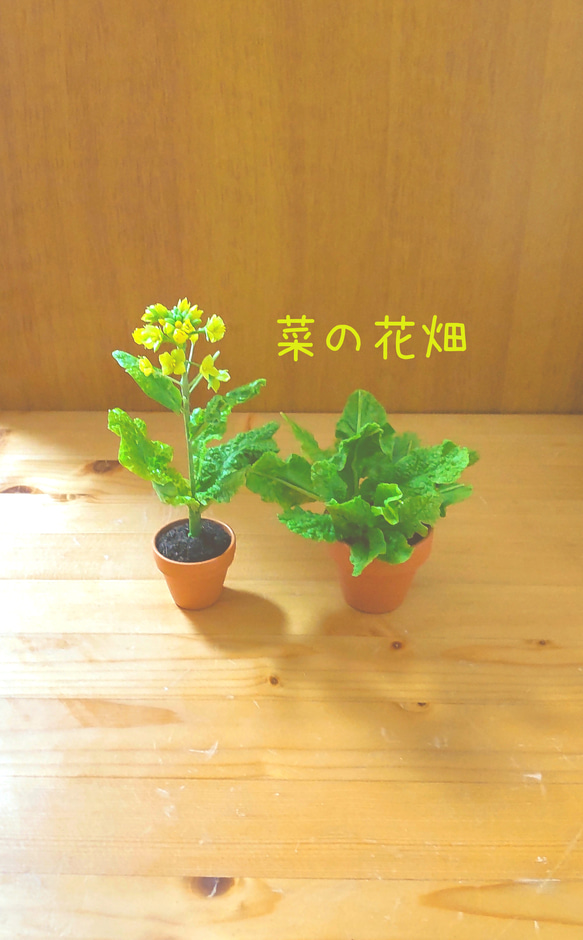 母の日  菜の花のおひたしセット 樹脂粘土アート 2枚目の画像