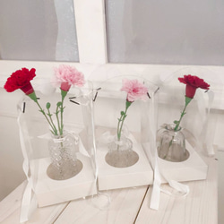 母の日ギフト♡お世話のいらないカーネーションのプリザーブドインテリア マジカルウォーター  ピンク 赤 2色 1枚目の画像