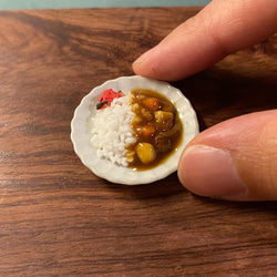 受注製作:ミニチュア【［M］カレーライス】（観賞用） その他置物 いろ