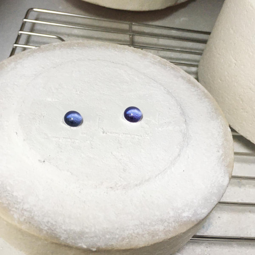 ガラスフュージング資材 ガラスフュージング | 株式会社誠文堂新光社