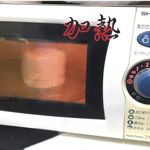 単品キルン 電子レンジで本格ガラス工芸 ガラスフュージング用簡易焼成