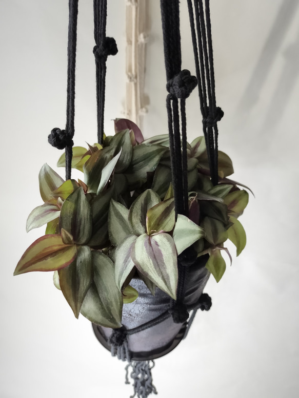 プラントハンガー　マクラメ　マクラメ編み　ブラック　オフホワイト　観葉植物　ハンギング　吊り下げ植物 7枚目の画像