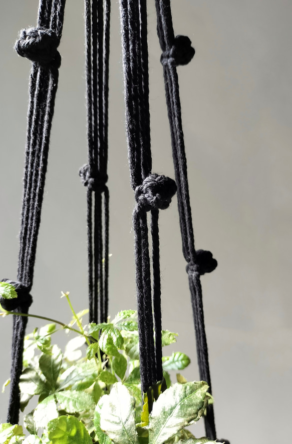 プラントハンガー　マクラメ　マクラメ編み　ブラック　オフホワイト　観葉植物　ハンギング　吊り下げ植物 3枚目の画像