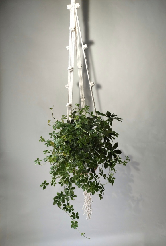 プラントハンガー　マクラメ　マクラメ編み　ブラック　オフホワイト　観葉植物　ハンギング　吊り下げ植物 8枚目の画像