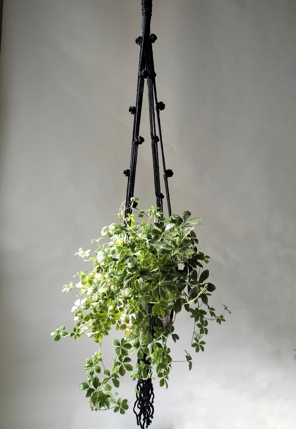 プラントハンガー　マクラメ　マクラメ編み　ブラック　オフホワイト　観葉植物　ハンギング　吊り下げ植物 1枚目の画像