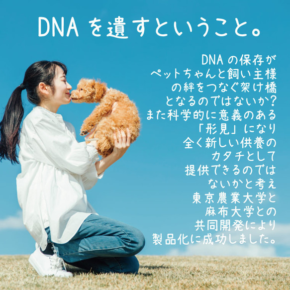 ペット位牌 DNAステッカー 生きた証 うちの子証明書 DNA 2枚目の画像