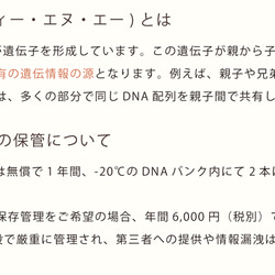 ペット位牌 DNAステッカー 生きた証 うちの子証明書 DNA 6枚目の画像