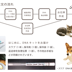 ペット位牌 DNAステッカー 生きた証 うちの子証明書 DNA 3枚目の画像