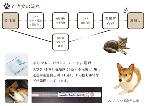 ペット位牌 DNAステッカー 生きた証 うちの子証明書 DNA 3枚目の画像