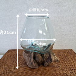 ガラス 流木 プランター テラリウム フラワーベース 苔　oth1018 9枚目の画像