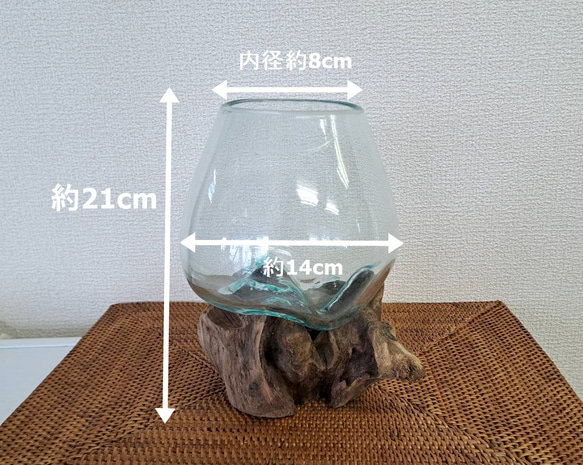 ガラス 流木 プランター テラリウム フラワーベース 苔　oth1018 9枚目の画像