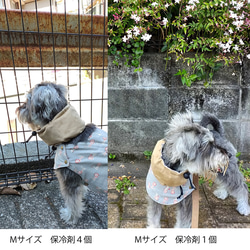 うちの子 ネッククーラー 犬用 散歩バッグとお揃いカラー＆ダブルガーゼでお肌にやさしい 10枚目の画像