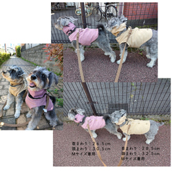 うちの子 ネッククーラー 犬用 散歩バッグとお揃いカラー＆ダブルガーゼでお肌にやさしい 6枚目の画像