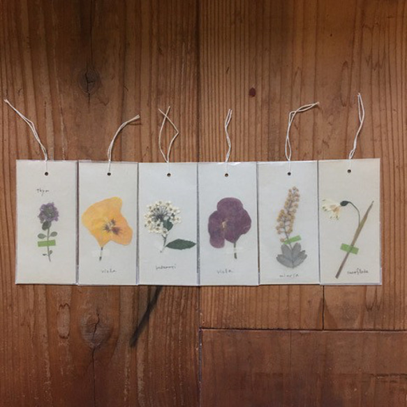 秘密の中庭の押し花＆ハーブしおりセット＊草花 しおり・ブックマーク