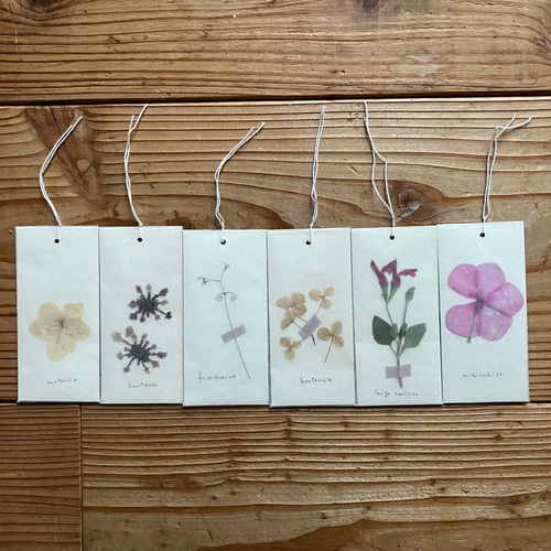 秘密の中庭の押し花＆ハーブしおりセット＊草花 しおり・ブックマーク