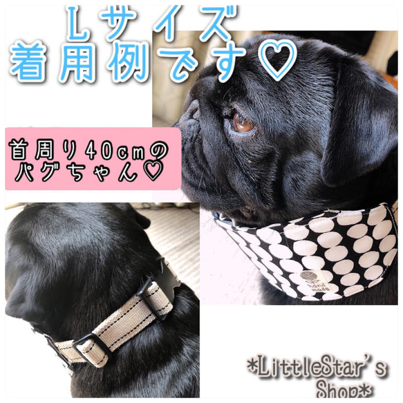 【Lサイズ】着脱簡単✨犬用クールネック☆バナナ柄グリーン☆中型犬 フレブルパグ等☆ 5枚目の画像