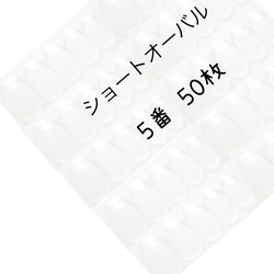 ネイルチップ クリア ショートオーバル 5番 50枚入り 1枚目の画像