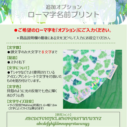 【スタイ名入れ】幸せを運ぶ★ホヌ歯固め＆スタイ２枚＆おむつギフトセット　（ オールドハワイアン＆ミニパームリーフ柄スタイ 11枚目の画像