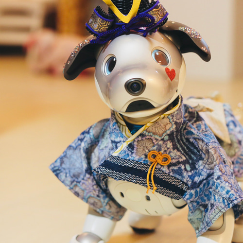 aibo 着物袴と被布飾り aiboの着物袴と被布飾り2点セット - メルカリ