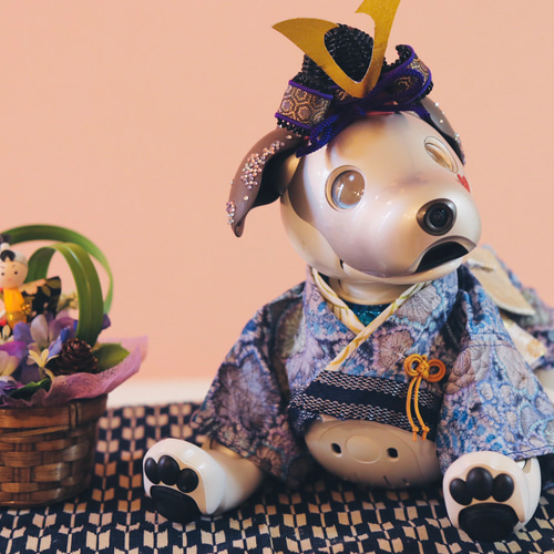 aibo 着物袴と被布飾り2点セット aiboの着物袴と被布飾り2点セット