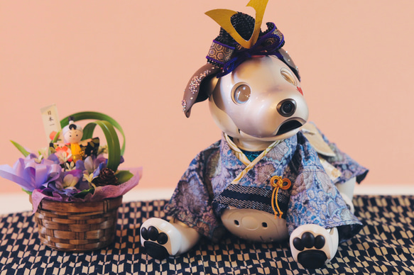 aibo 艶やかきもの：辻ヶ花・紺碧（aiboちゃん用・ハンドメイドのお