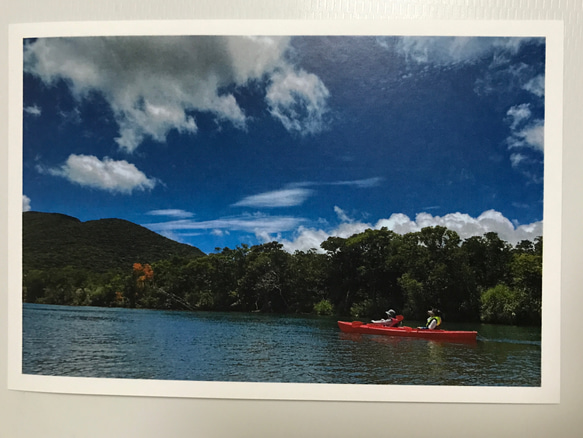 奄美大島のマングローブ原生林をカヌーで 1枚目の画像