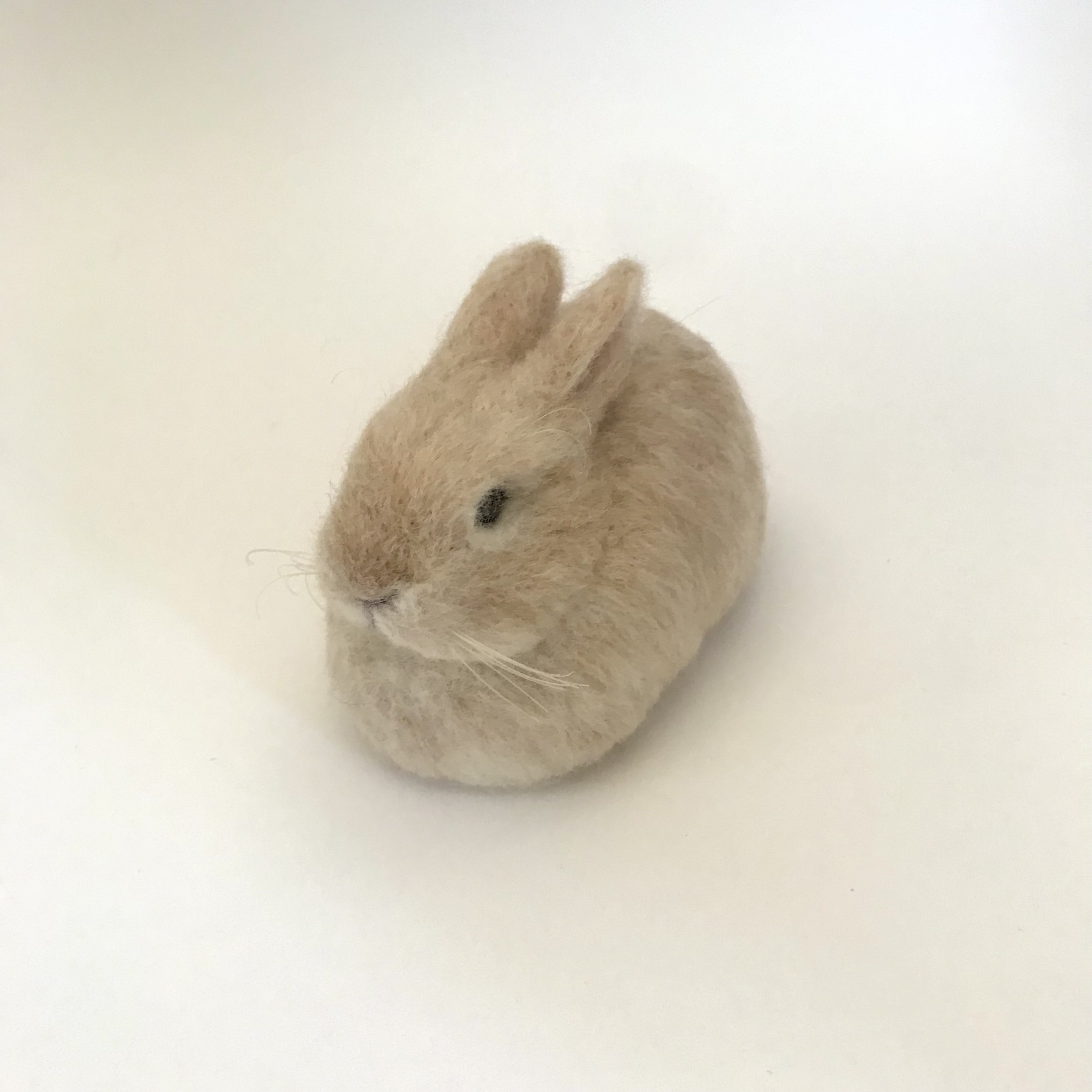 fluffyteddy＊手染めヒマラヤンうさぎ。