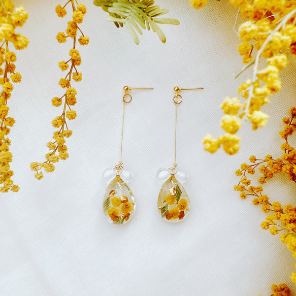 ミモザピアス♡ドライフラワー♡レジンアクセサリー ◯ web shop